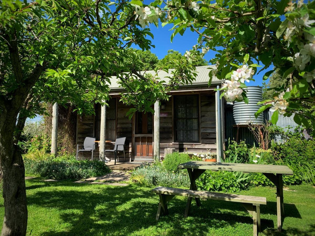 Cherry Plum Cottages พอร์ตแฟรี ภายนอก รูปภาพ